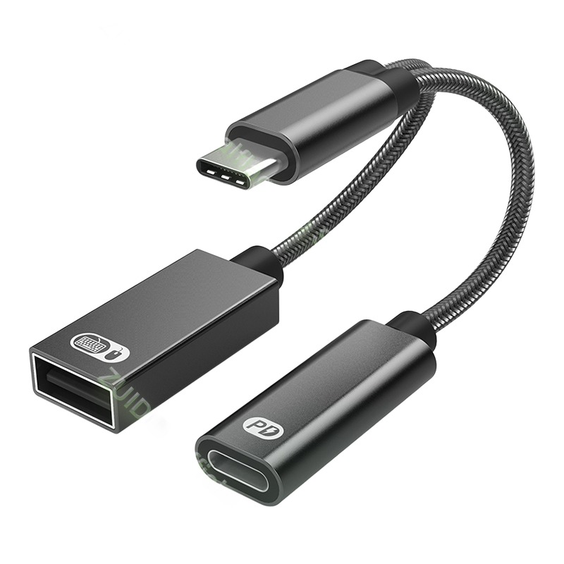 Adaptateur USB-C 2 en 1 charge 60 W et données OTG Adaptateur USB-C 2 en 1 charge 60 W et données OTG, vue principale