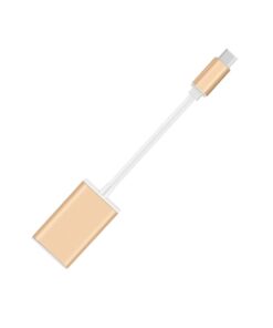 Adaptateur USB c displayport vers Mini DisplayPort 4K, vue de face