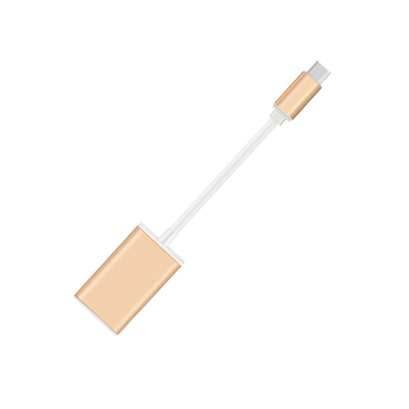 Adaptateur USB c displayport vers Mini DisplayPort 4K Adaptateur USB c displayport vers Mini DisplayPort 4K, vue de face