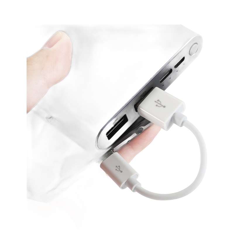 Adaptateur USB-C en cordon court de 10 ou 20 cm Adaptateur USB-C en cordon court de 10 ou 20 cm, vue arriere